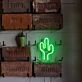 Cactus Neon Desert Coolness and Resilience