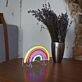 Rainbow Neon Spectrum of Hope and Diversity
