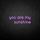 'You are my sunshine' neon sign