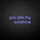 'You are my sunshine' neon sign