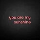 'You are my sunshine' neon sign