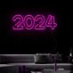 2024 style 2 Led Neon