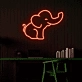 Playful Elephant Neon Lamp