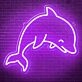 Cute Dolphin Neon Sign