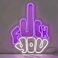 Fuck You Neon Statement Bold and Unapologetic