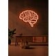 The brain Neon Enlightenment for Intellectual Pursuits