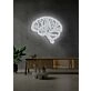 The brain Neon Enlightenment for Intellectual Pursuits
