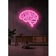 The brain Neon Enlightenment for Intellectual Pursuits