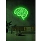 The brain Neon Enlightenment for Intellectual Pursuits