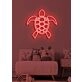 Turtle Neon Slow and Steady Wins the Race