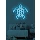 Turtle Neon Slow and Steady Wins the Race
