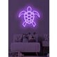 Turtle Neon Slow and Steady Wins the Race