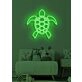 Turtle Neon Slow and Steady Wins the Race