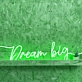 Dreaming  Big Neon Dreamscape for Visionaries