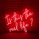 It this the real like: Authenticity Illuminated in Neon