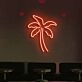 Palm Neon Oasis of Tropical Dreams