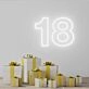 18 Celebrating Milestone Birthdays with Vibrant Neon
