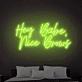 Hey Babe Nice Brows Light Up Your Beauty Routine with Neon Elegance