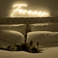 Forever with Neon Art