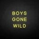 BOYS GONE WILD' neon sign