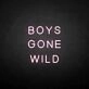 BOYS GONE WILD' neon sign