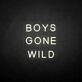 BOYS GONE WILD' neon sign