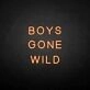 BOYS GONE WILD' neon sign