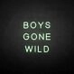 BOYS GONE WILD' neon sign