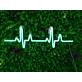 Heartbeat Feel the Pulse of Life with Neon Art