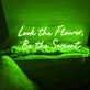 Look Like The Innocent Flower: Illuminate Your Space with Neon Elegance
