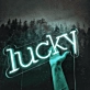 Lucky Neon Sign: Fortunate Charms Illuminated