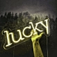 Lucky Neon Sign: Fortunate Charms Illuminated