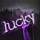 Lucky Neon Sign: Fortunate Charms Illuminated