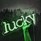 Lucky Neon Sign: Fortunate Charms Illuminated