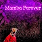 Mamba Forever Neon Sign