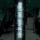 Money Doesn't Grow on Trees: Neon Sign for Financial Wisdom