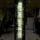 Money Doesn't Grow on Trees: Neon Sign for Financial Wisdom