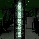 Money Doesn't Grow on Trees: Neon Sign for Financial Wisdom