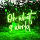 Oh What a World: Let Your Space Shine with Wonder!
