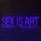 Sex is Art Neon Sign Redefining Sensuality with Style