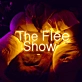 The Fire Show Neon Sign: Ignite Your Space with Vibrant Energy