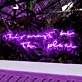 This Must Be The Place: Neon Sign to Illuminate Your Space