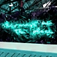 This Must Be The Place: Neon Sign to Illuminate Your Space