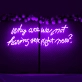 Why Are We Not Having Sex Right Now Neon Sign: Let Desire Light the Way