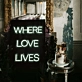 Where Love Lives: Illuminate Your Heart's Sanctuary in Neon