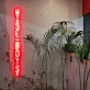 Wise Boys: Illuminate Your Space with Wisdom and Style
