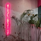 Wise Boys: Illuminate Your Space with Wisdom and Style