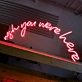 Wish You Were Heve: Embrace the Spirit of Adventure with Neon Shine