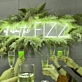 All About The Fizz: Add Sparkle to Your Space with Neon Glow
