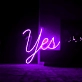 Yes You Can Do it: Illuminate Your Space with Neon Motivation